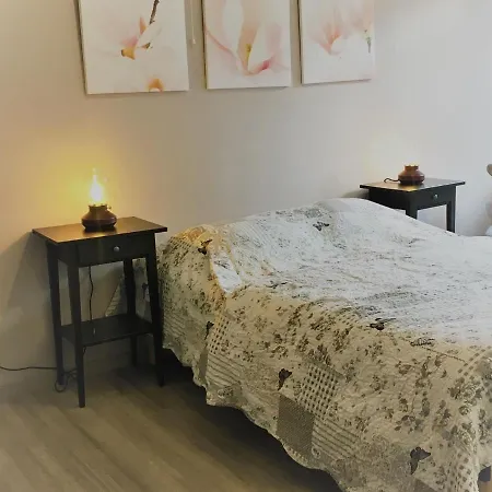 Vintage Holiday In With Garden Holiday home *